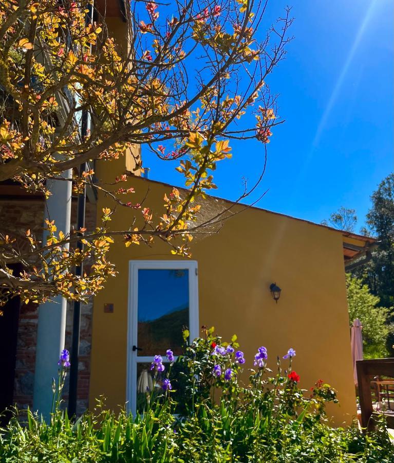B&B La Fucinaia Pet Friendly Adults Only Campiglia Marittima Exterior photo