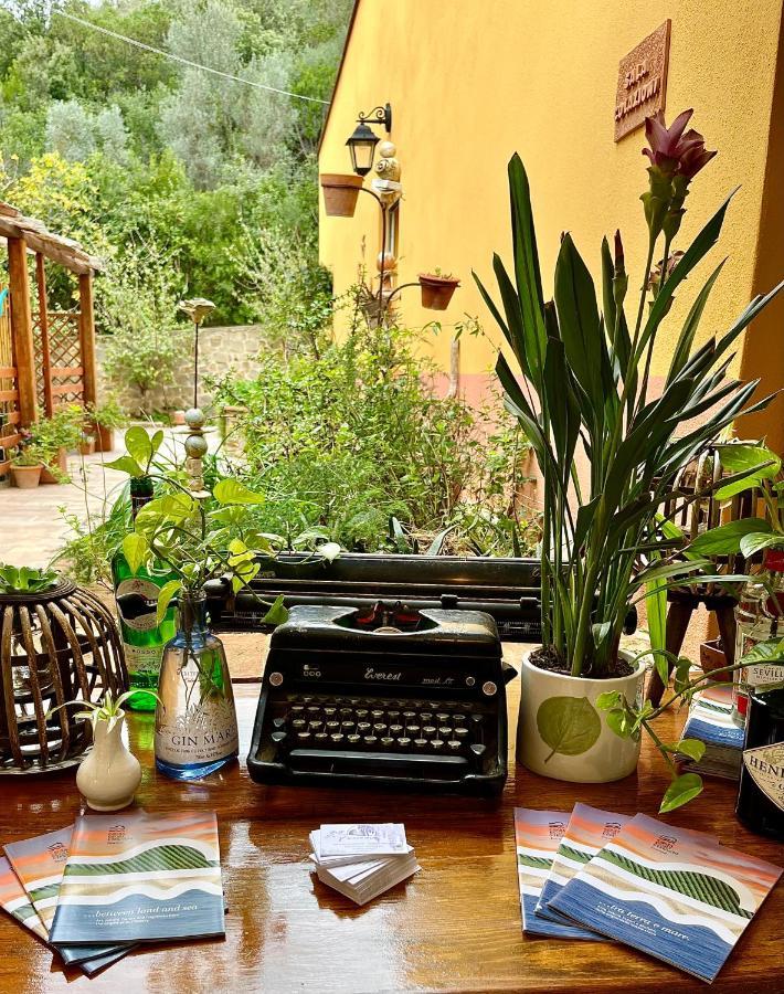 B&B La Fucinaia Pet Friendly Adults Only Campiglia Marittima Exterior photo