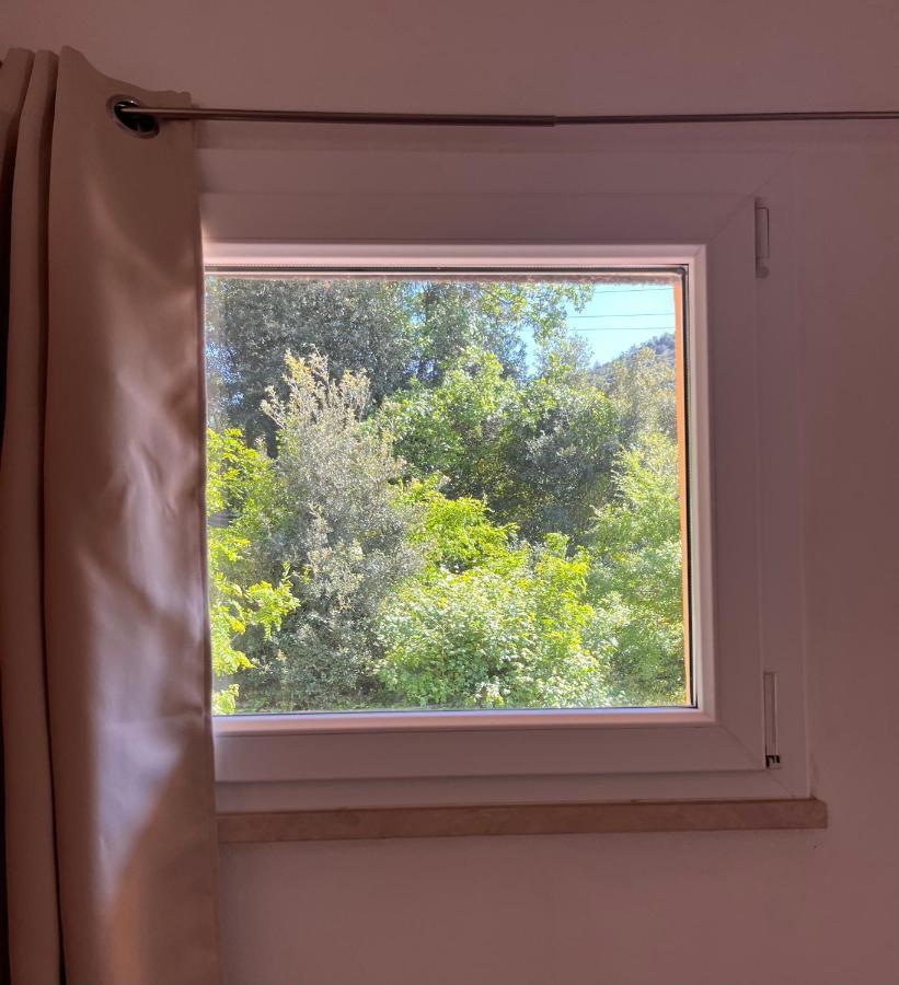 B&B La Fucinaia Pet Friendly Adults Only Campiglia Marittima Exterior photo