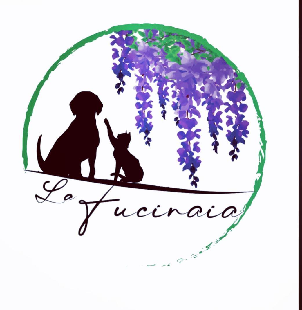 B&B La Fucinaia Pet Friendly Adults Only Campiglia Marittima Exterior photo