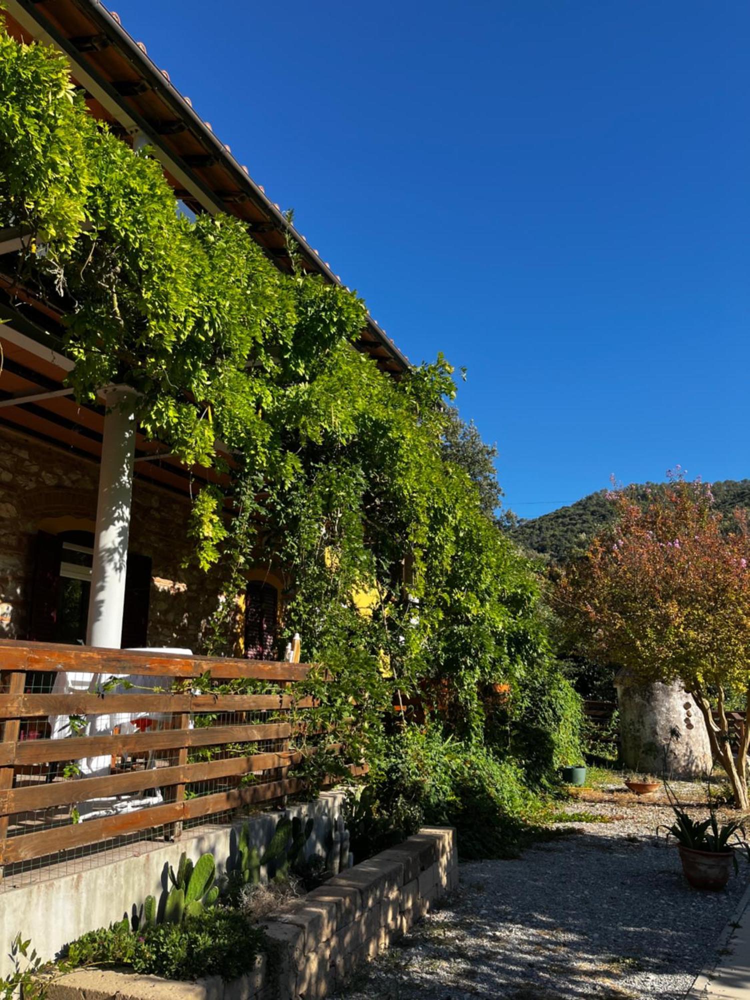 B&B La Fucinaia Pet Friendly Adults Only Campiglia Marittima Exterior photo